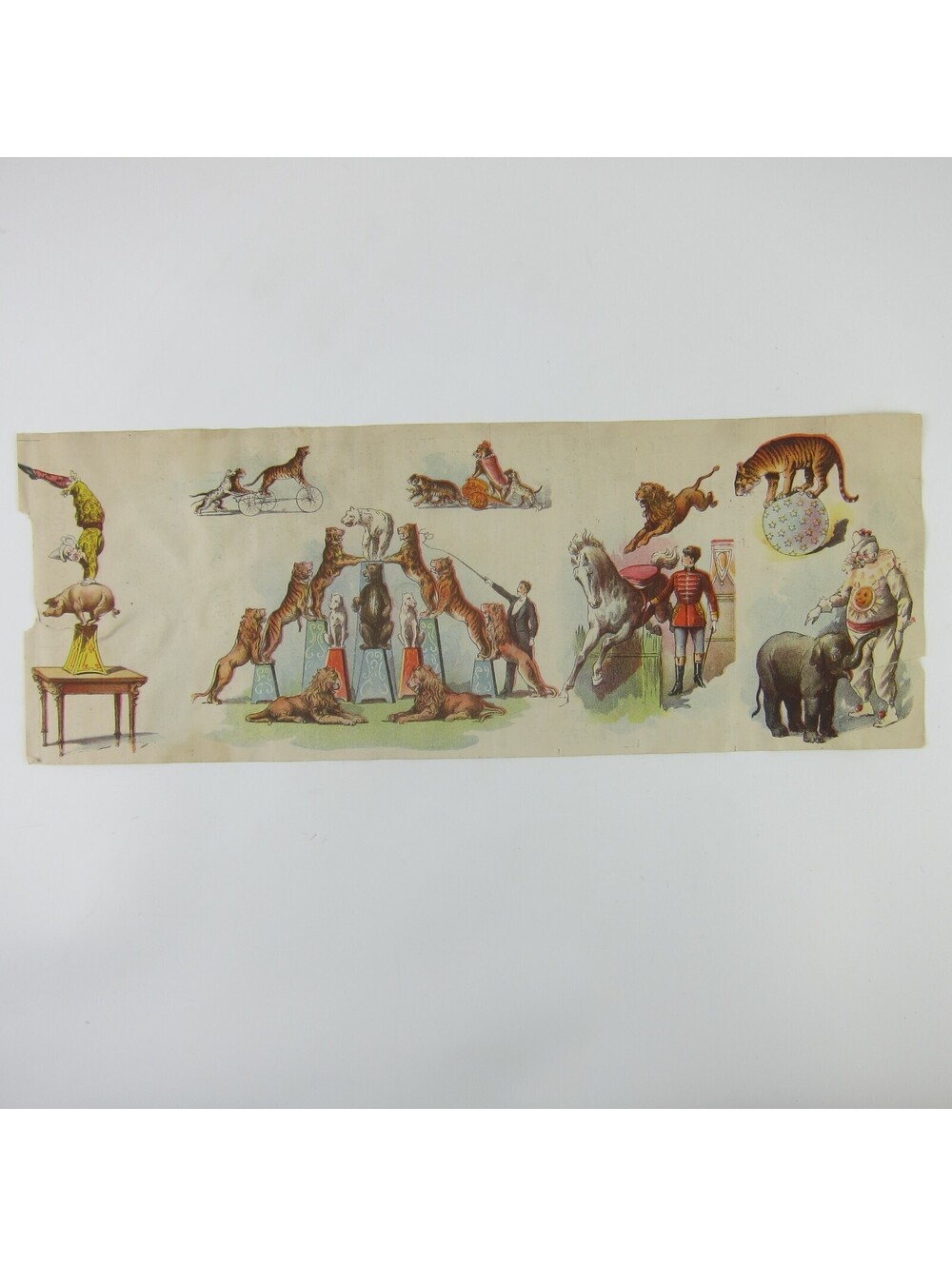 1893 Chicago World's Fair Columbian Expo Hagenbecks Zoological Arena Flyer RARE